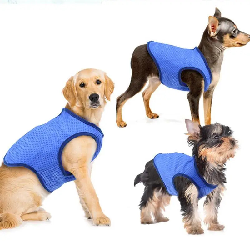 Gilet rafraîchissant chien - guide des tailles