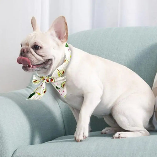 Bandana rafraîchissant pour chien - vue principale