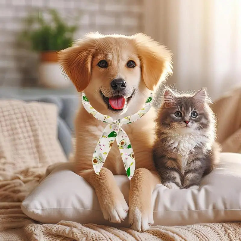 Bandana rafraîchissant porté par un chien