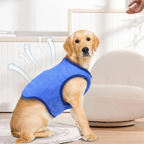 Gilet rafraîchissant chien - porté par un petit chien