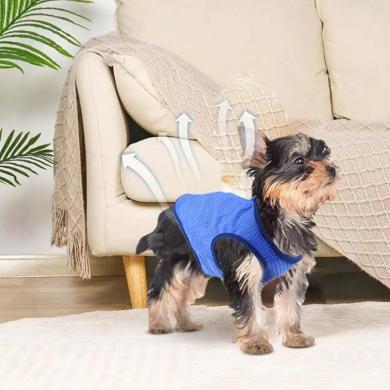 Gilet rafraîchissant pour chien bleu - vue principale