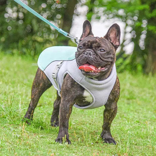 Gilet harnais rafraîchissant pour chien — vue détail
